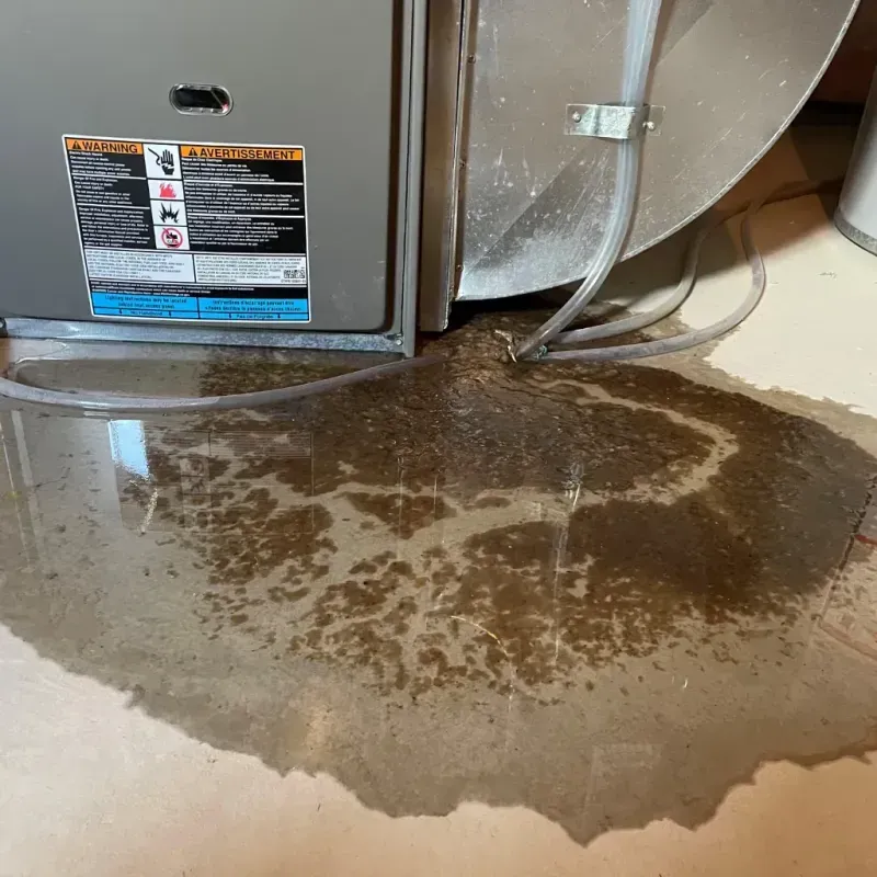 Appliance Leak Cleanup in Boyd County, KY